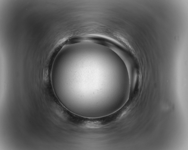 X0000087620403200704271402
