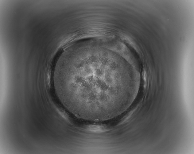 X0000087620404200704271402