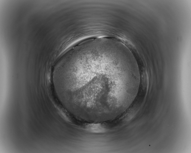 X0000087620406200704271402
