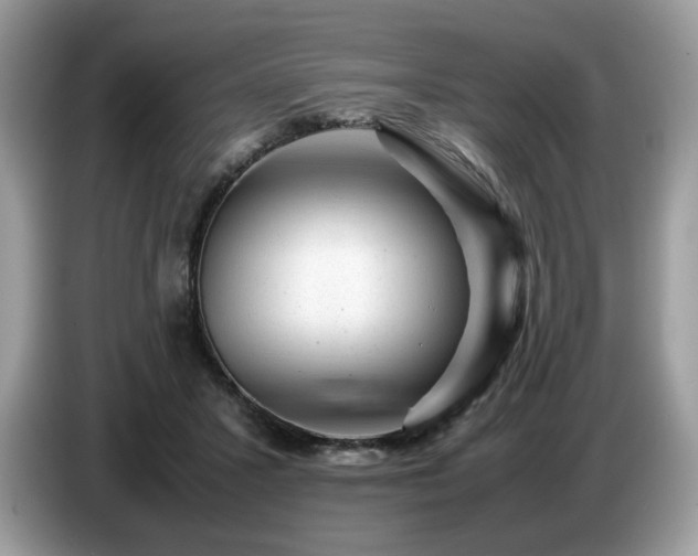 X0000087620407200704271402