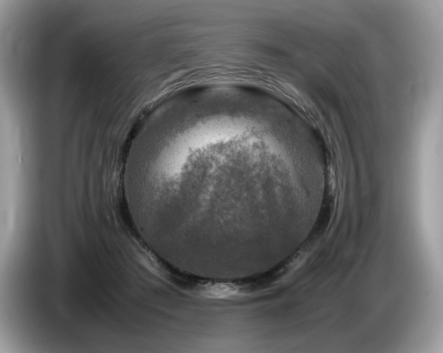 X0000087620409200704271402