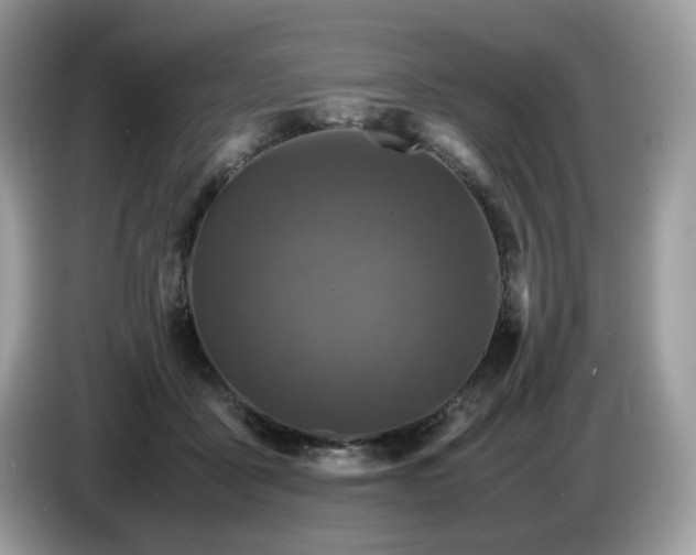 X0000087620411200704271402