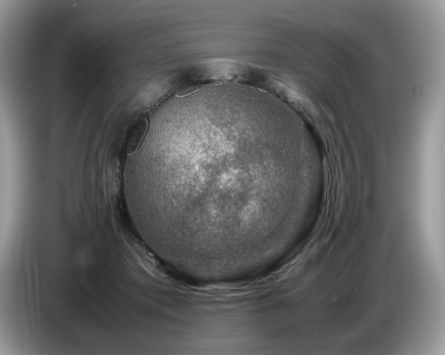 X0000087620413200704271402