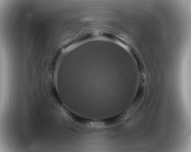 X0000087620415200704271402