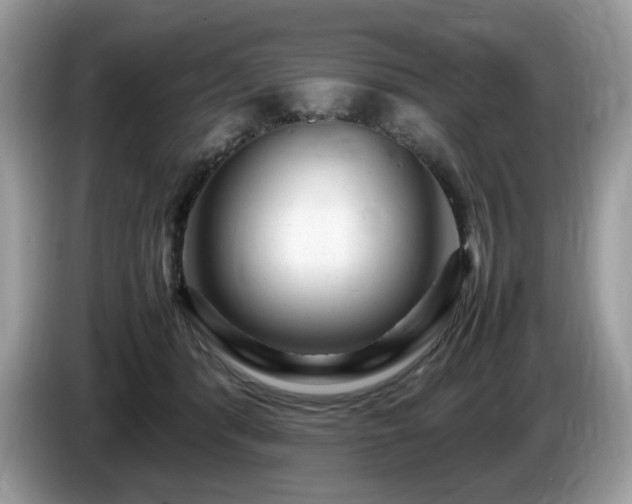 X0000087620416200704271402