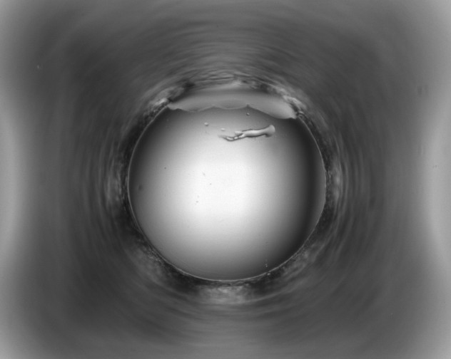 X0000087620422200704271402