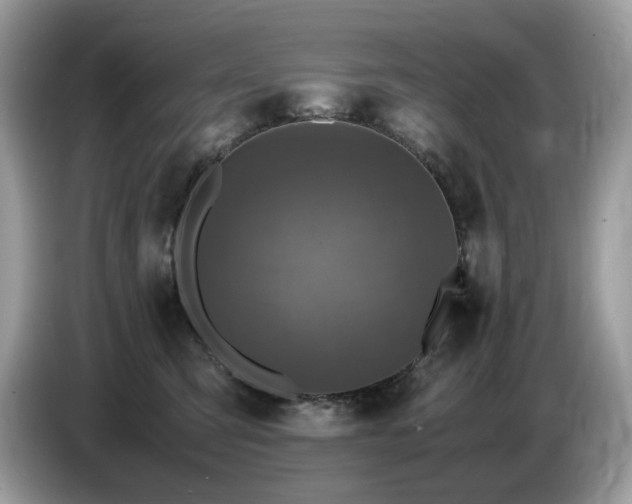 X0000087620423200704271402