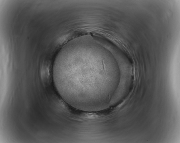 X0000087620424200704271402