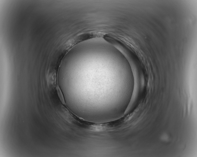 X0000087620425200704271402