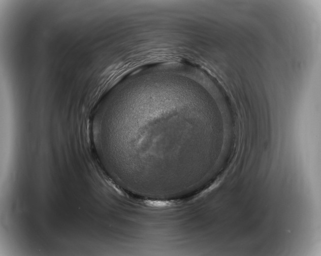 X0000087620432200704271402