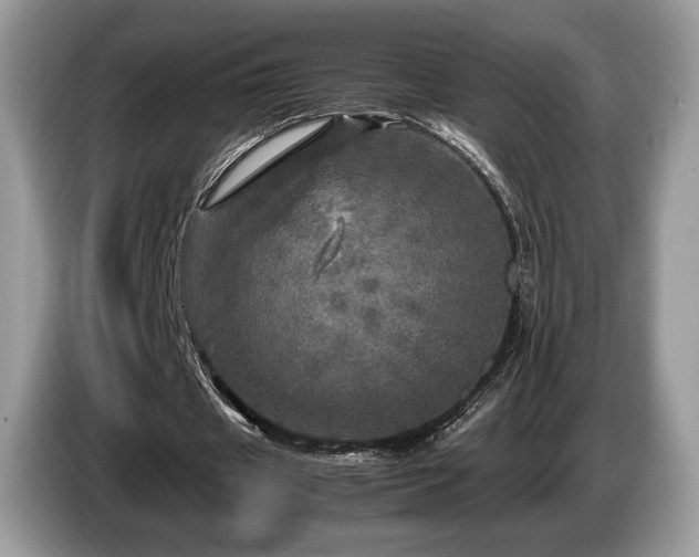 X0000087620433200704271401