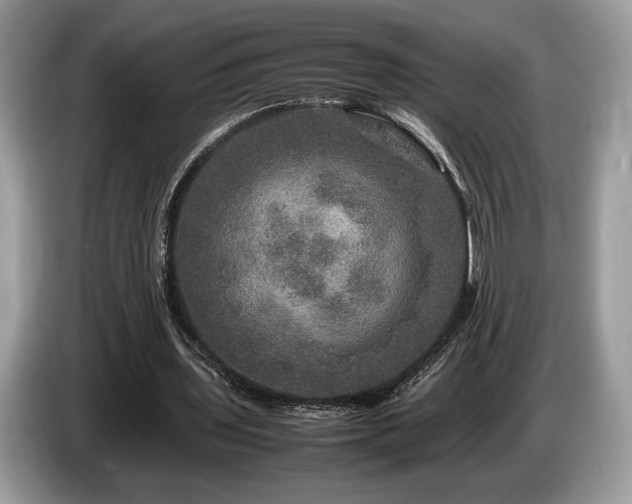 X0000087620435200704271401