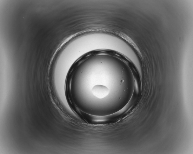 X0000087620436200704271401