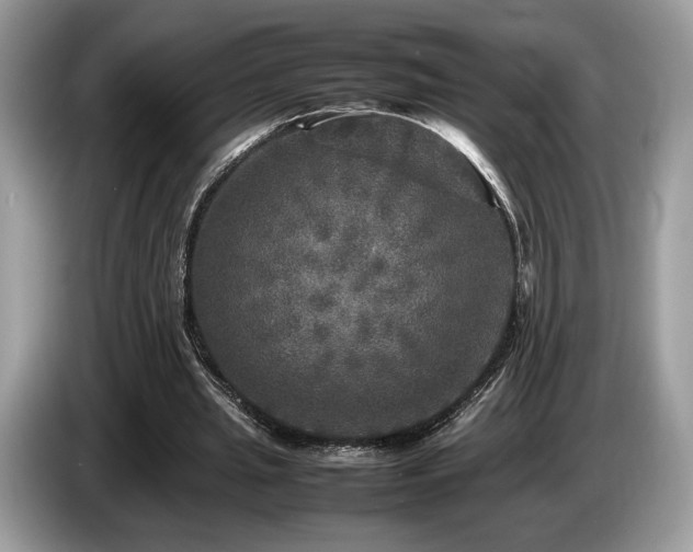 X0000087620437200704271401
