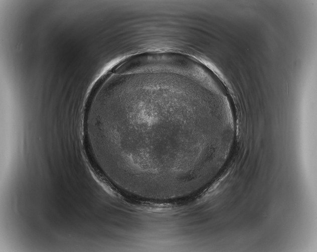 X0000087620438200704271401