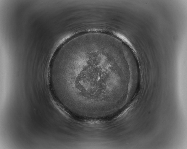 X0000087620439200704271401
