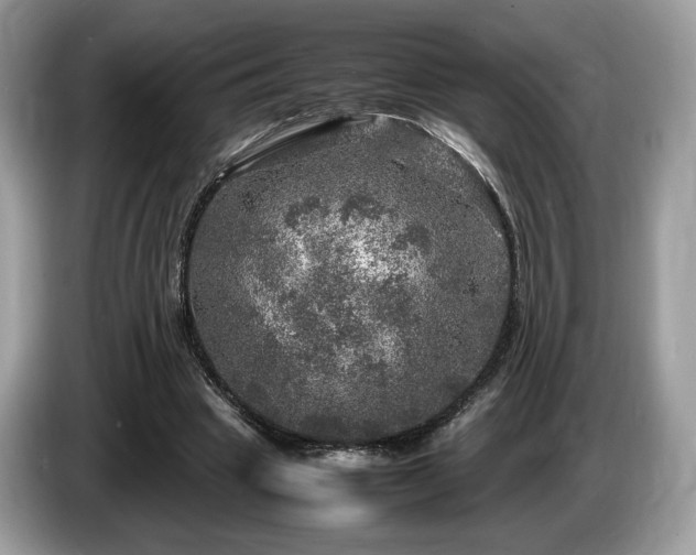 X0000087620441200704271401