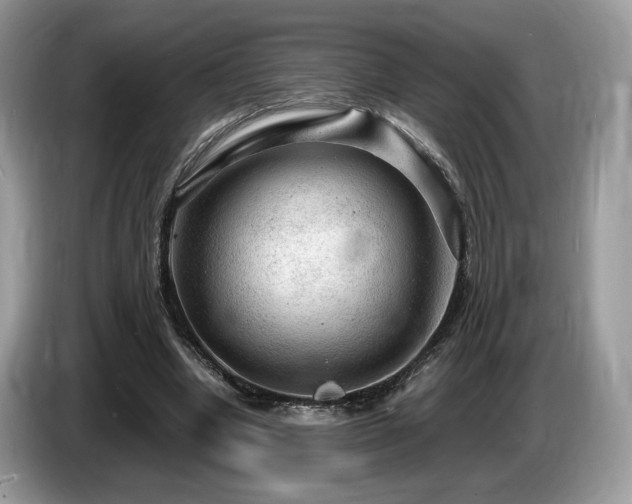 X0000087620442200704271401