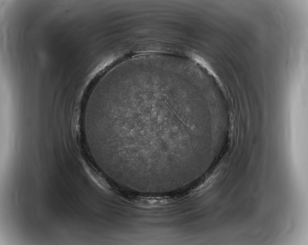 X0000087620443200704271401