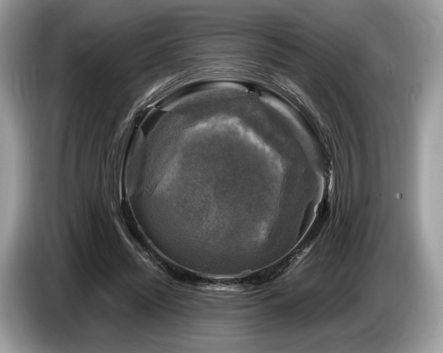 X0000087620444200704271401
