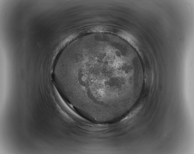 X0000087620445200704271401