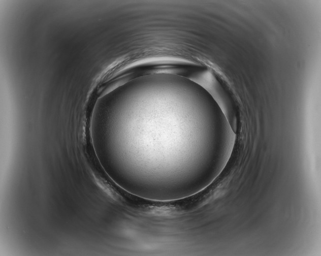 X0000087620446200704271401
