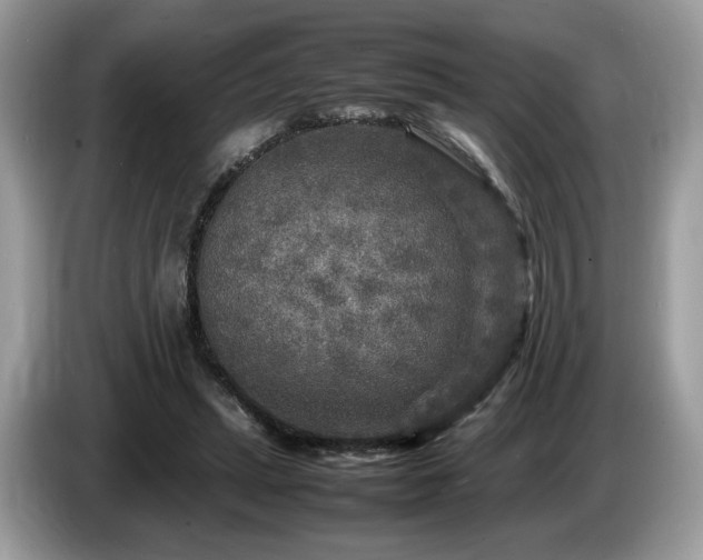 X0000087620447200704271401