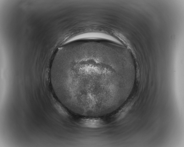 X0000087620449200704271401