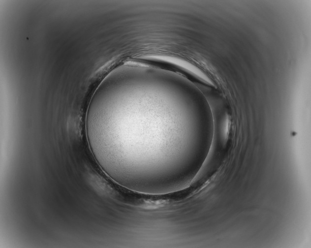 X0000087620450200704271401