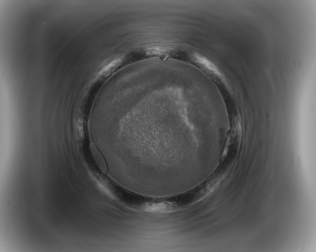 X0000087620452200704271401
