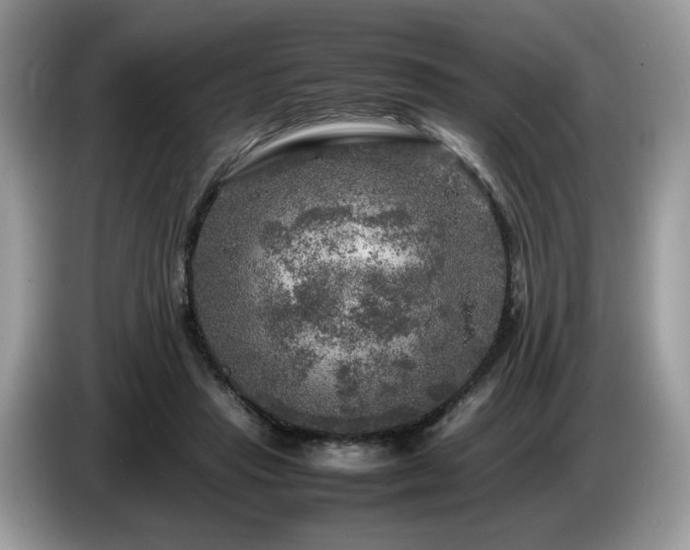 X0000087620453200704271401
