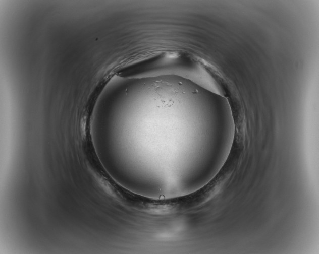 X0000087620454200704271401