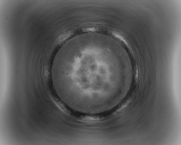 X0000087620455200704271401