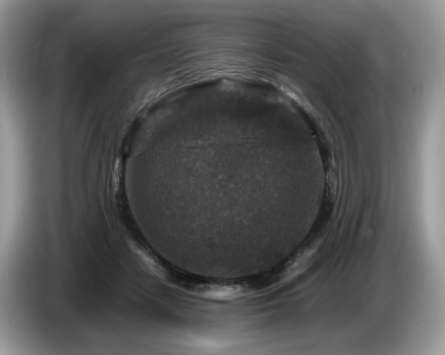 X0000087620458200704271401