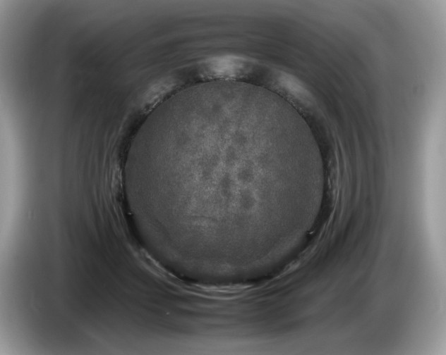 X0000087620459200704271401