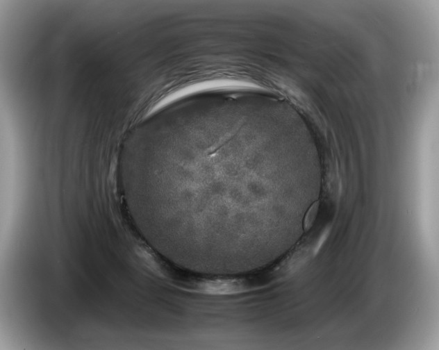 X0000087620461200704271402