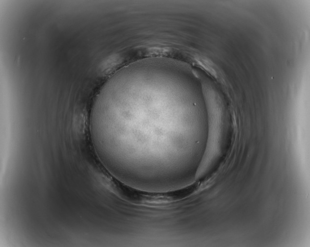 X0000087620463200704271402