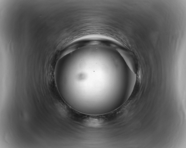 X0000087620464200704271402