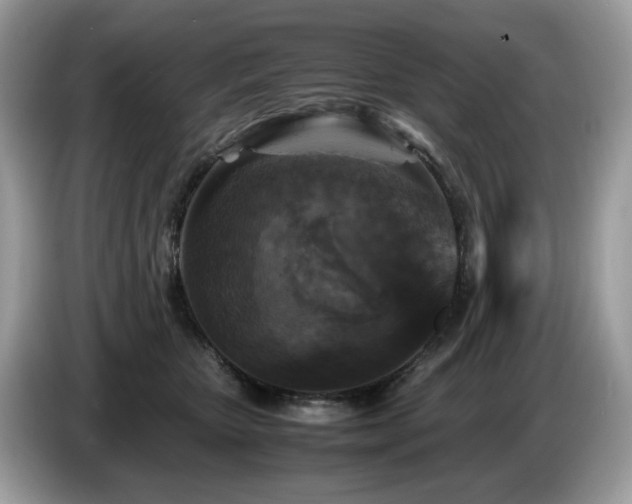 X0000087620467200704271402