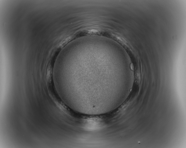 X0000087620468200704271402