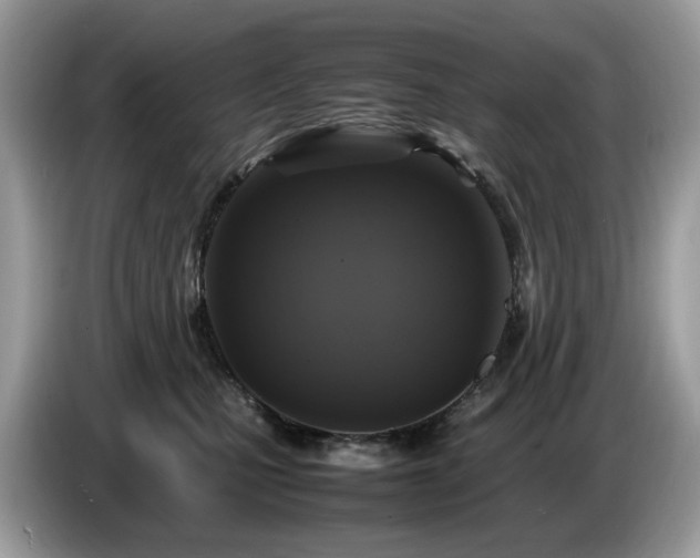 X0000087620471200704271402