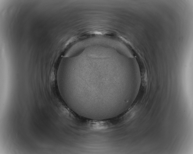 X0000087620472200704271402