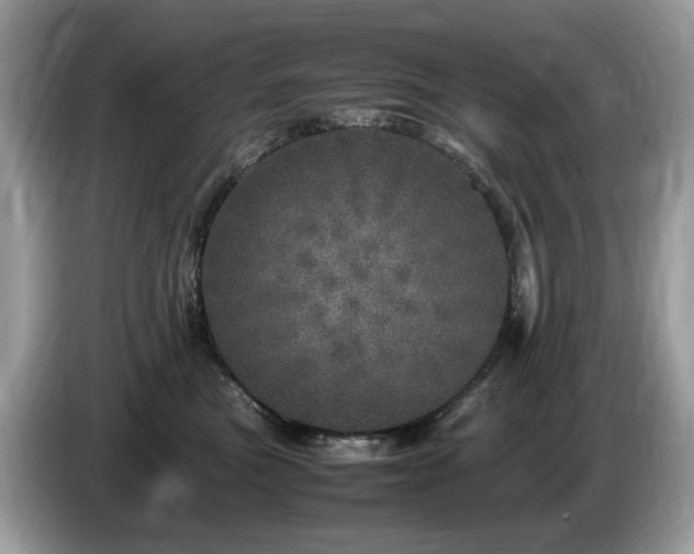 X0000087620473200704271402