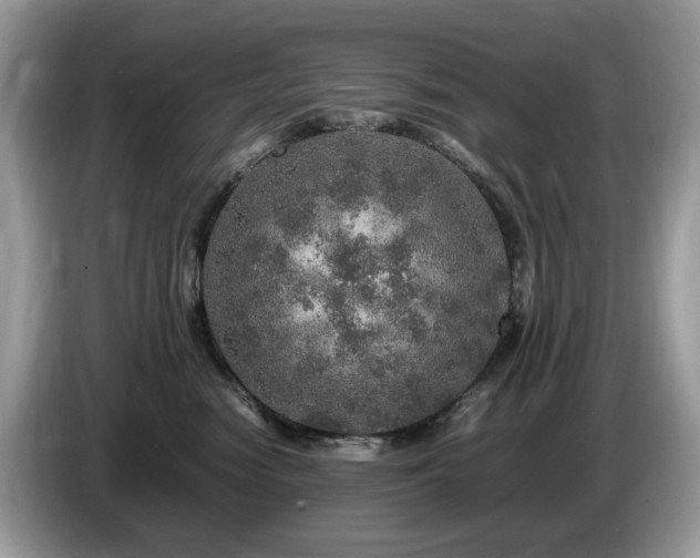 X0000087620474200704271402