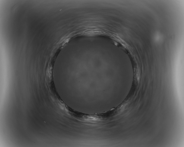 X0000087620475200704271402