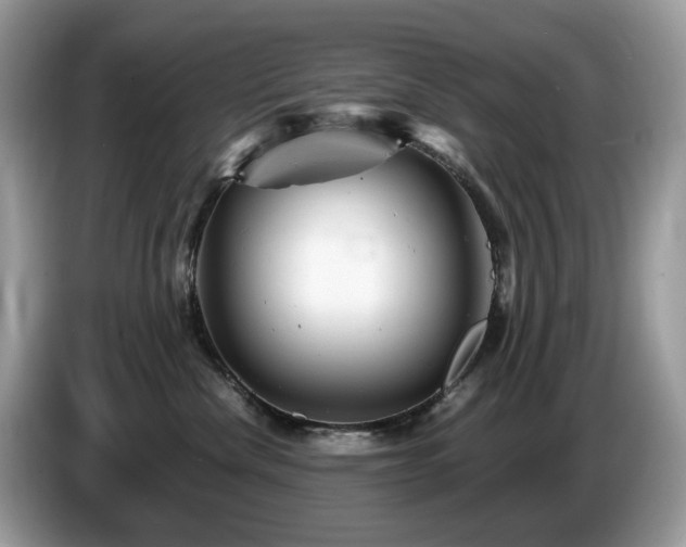X0000087620476200704271402