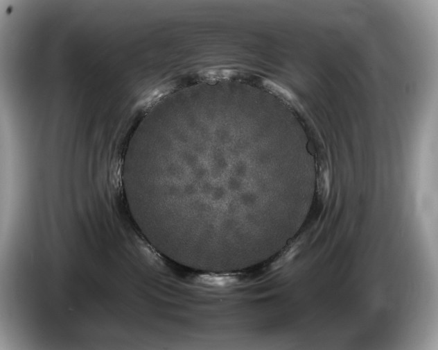 X0000087620477200704271402