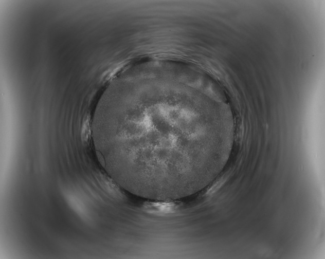 X0000087620478200704271402