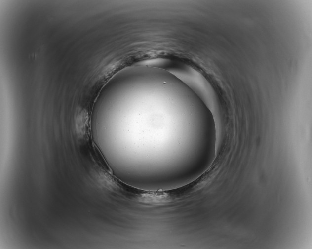 X0000087620480200704271402