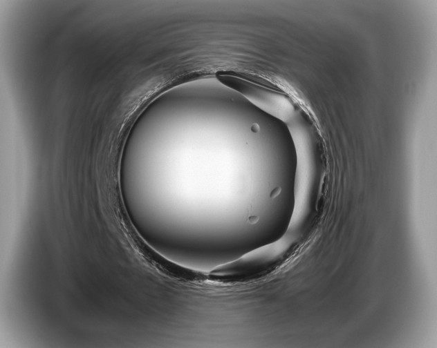 X0000087620481200704271401
